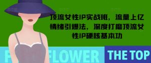 顶流女性IP实战班,流量上亿情绪引爆法,深度打磨顶流女性IP硬核基本功-最全资源库