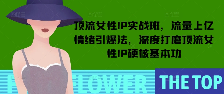 顶流女性IP实战班,流量上亿情绪引爆法,深度打磨顶流女性IP硬核基本功-最全资源库