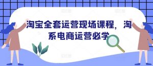淘宝全套运营现场课程,淘系电商运营必学-最全资源库