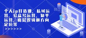 个人ip打造课,私域运营,公众号运营,知乎运营,底层逻辑和方向定位等-最全资源库