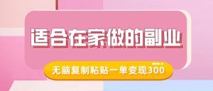 适合在家做的副业，小红书冷知识账号，无脑复制粘贴一单变现300-最全资源库