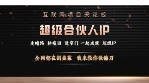 互联网项目天花板，超级合伙人IP，全网都在割韭菜，我来教你做镰刀【仅揭秘】-最全资源库