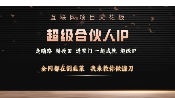 互联网项目天花板，超级合伙人IP，全网都在割韭菜，我来教你做镰刀【仅揭秘】-最全资源库