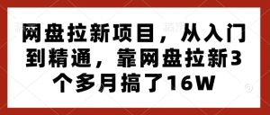 网盘拉新项目，从入门到精通，靠网盘拉新3个多月搞了16W-最全资源库