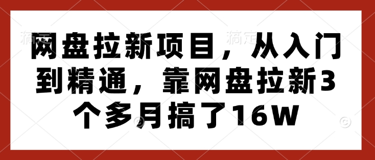 网盘拉新项目，从入门到精通，靠网盘拉新3个多月搞了16W-最全资源库
