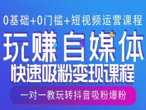 0基础+0门槛+短视频运营课程,玩赚自媒体快速吸粉变现课程,一对一教玩转抖音吸粉爆粉-最全资源库