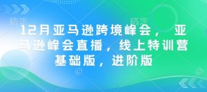 12月亚马逊跨境峰会, 亚马逊峰会直播,线上特训营基础版,进阶版-最全资源库