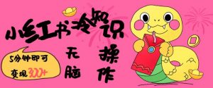 小红书冷知识账号，无脑复制粘贴，5分钟即可变现3张-最全资源库