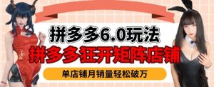 拼多多虚拟商品暴利6.0玩法，轻松实现月入过W-最全资源库