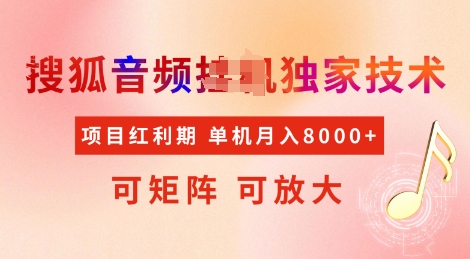 全网首发搜狐音频挂JI独家技术,项目红利期,可矩阵可放大,稳定月入8k【揭秘】-最全资源库
