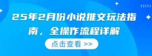 25年2月份小说推文玩法指南，全操作流程详解-最全资源库