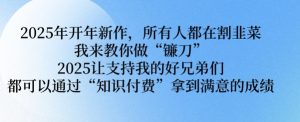 2025年开年新作，所有人都在割韭菜，我来教你做“镰刀” 2025让支持我的好兄弟们都可以通过“知识付费”拿到满意的成绩【揭秘】-最全资源库