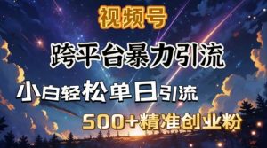 跨平台暴力引流，私域完美闭环，日引500+精准创业粉-最全资源库