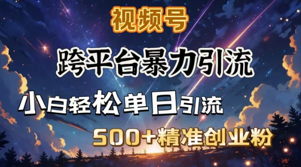 跨平台暴力引流，私域完美闭环，日引500+精准创业粉-最全资源库