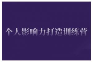 个人影响力打造训练营，掌握公域引流、私域运营、产品定位等核心技能，实现从0到1的个人IP蜕变-最全资源库