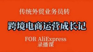 跨境电商速卖通运营课,运营方法论+后台实操,逻辑清晰-最全资源库
