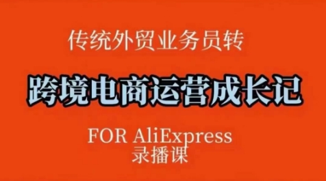 跨境电商速卖通运营课,运营方法论+后台实操,逻辑清晰-最全资源库