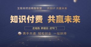 别人苦寻无果，为何他们靠知识付费卖项目 2025 年轻松年入100个?【揭秘】-最全资源库