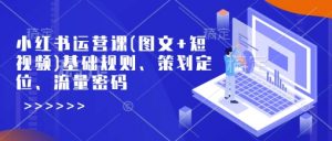 小红书运营课(图文+短视频)基础规则、策划定位、流量密码-最全资源库