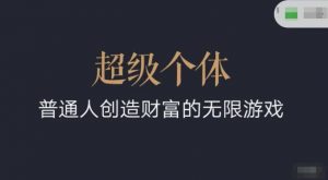 超级个体2024-2025翻盘指南,普通人创造财富的无限游戏-最全资源库