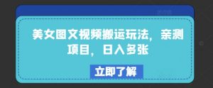 美女图文视频搬运玩法，亲测项目，日入多张-最全资源库