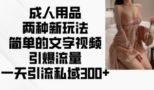 成人用品两种新玩法，简单的文字视频引爆流量，一天引流私域300+-最全资源库