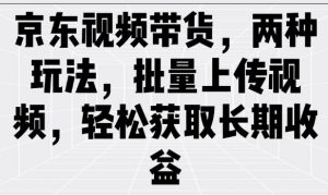 京东视频带货,两种玩法,批量上传视频,轻松获取长期收益-最全资源库