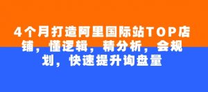 4个月打造阿里国际站TOP店铺,懂逻辑,精分析,会规划,快速提升询盘量-最全资源库