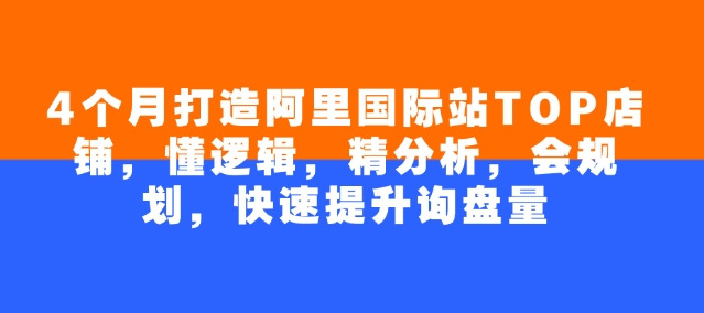 4个月打造阿里国际站TOP店铺,懂逻辑,精分析,会规划,快速提升询盘量-最全资源库
