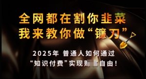 知识付费如何做到月入过W+，2025我来教你做“镰刀”【揭秘】-最全资源库