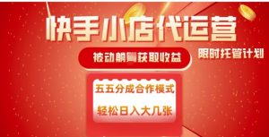 快手小店代运营，被动躺Z收益，收益五五分，单日稳定变现五张【揭秘】-最全资源库