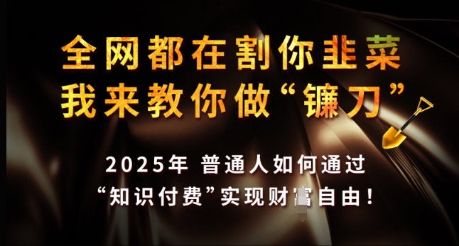全网都在割你韭菜,我来教你做镰刀,2025年普通人如何通过 知识付费 实现财F自由【揭秘】-最全资源库