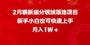 2月最新细分领域落地项目，新手小白也可快速上手，月入1W-最全资源库