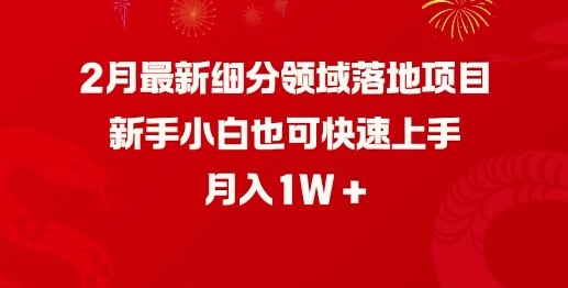 2月最新细分领域落地项目，新手小白也可快速上手，月入1W-最全资源库