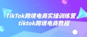 TikTok跨境电商实操训练营，tiktok跨境电商教程-最全资源库