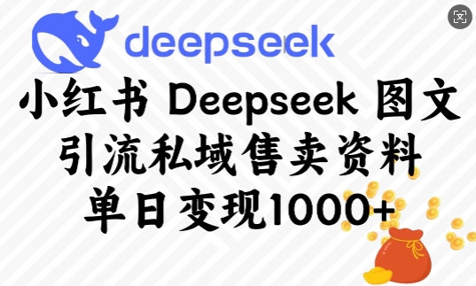 小红书Deepseek图文引流私域售卖资料,单日变现多张-最全资源库