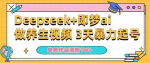 小白用DeepSeek+即梦做ai养生视频,一条作品涨粉5万+,单日收益多张-最全资源库
