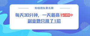 副业她只用了1招,每天30分钟,无脑二创,一天最高1.5k-最全资源库