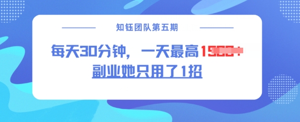 副业她只用了1招,每天30分钟,无脑二创,一天最高1.5k-最全资源库