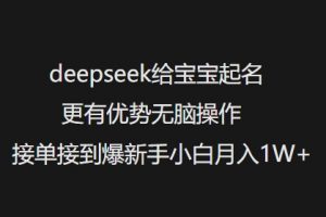 deepseek给宝宝起名更有优势无脑操作接单接到爆新手小白月入1W+-最全资源库