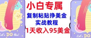 复制粘贴挣美金,0门槛,1天收入95美刀,3分钟学会,内部教程(首次公开)-最全资源库
