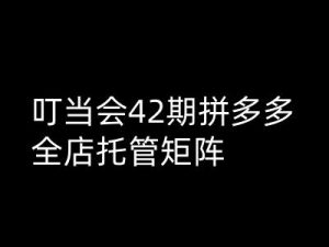 叮当会拼多多打爆班原创高阶技术第42期，拼多多全店托管矩阵-最全资源库