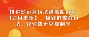 拼多多运营玩法课高阶运营【2月更新】,极致群爆款玩法,轻付费无尽复制等-最全资源库