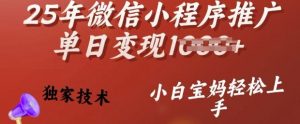 25年微信小程序推广单日变现多张,独家技术,小白宝妈轻松上手【揭秘】-最全资源库