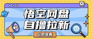 全网首发悟空网盘云真机自撸拉新项目玩法单机可挣10.20不等-最全资源库
