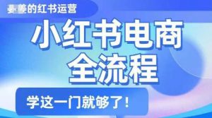 小红书电商全流程，精简易懂，从入门到精通，学这一门就够了-最全资源库