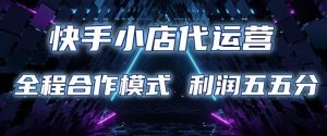 快手小店代运营 限时托管计划 合作模式 利润五五分成【揭秘】-最全资源库