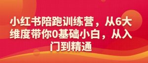 小红书陪跑训练营,从6大维度带你0基础小白,从入门到精通-最全资源库