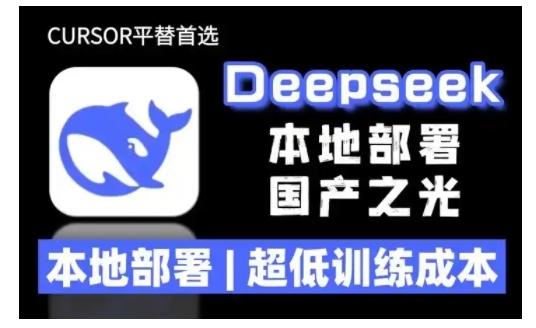 2025年deepseek R1 大型模型本地安装部署(文件+教程)本地部署，超低训练成本-最全资源库
