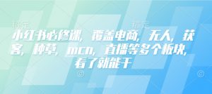 小红书必修课,覆盖电商,无人,获客,种草,mcn,直播等多个板块,看了就能干-最全资源库
